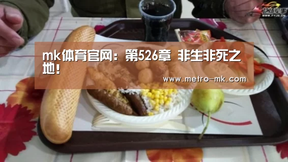 mk体育官网