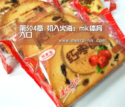 第504章 初入火海:mk体育入口(图2) mk体育入口